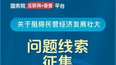 少萝白浆网站国务院“互联网+督查”平台公开征集阻碍民营经济发展壮大问题线索